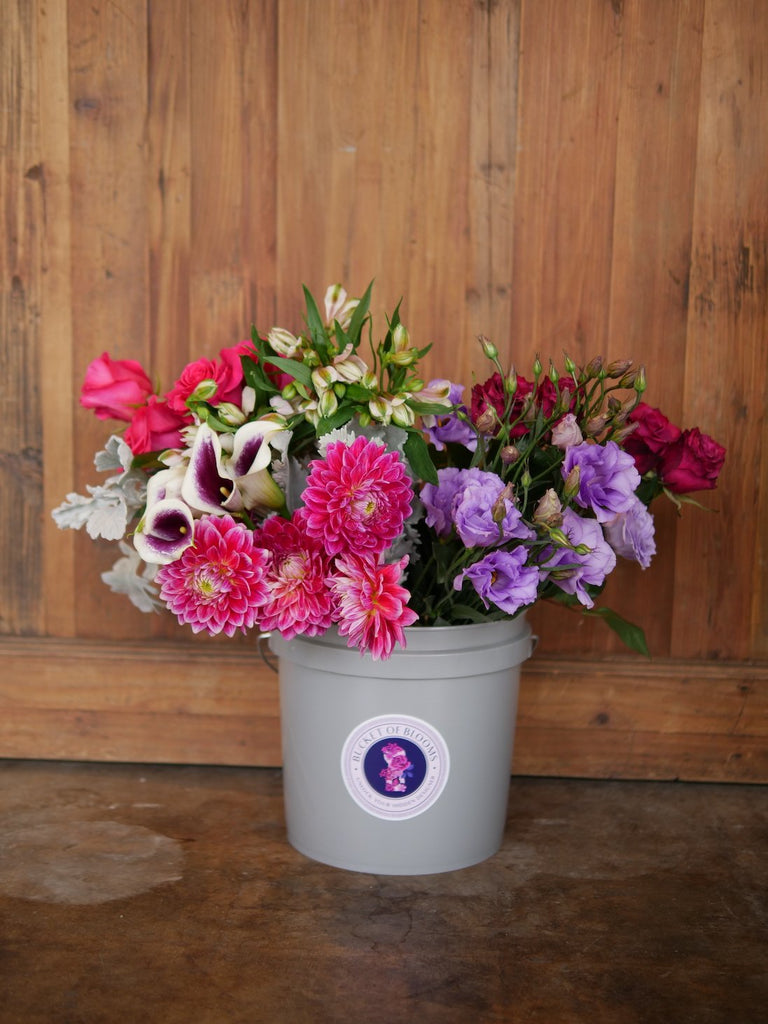 Bucket Of Blooms <br/>Every Week